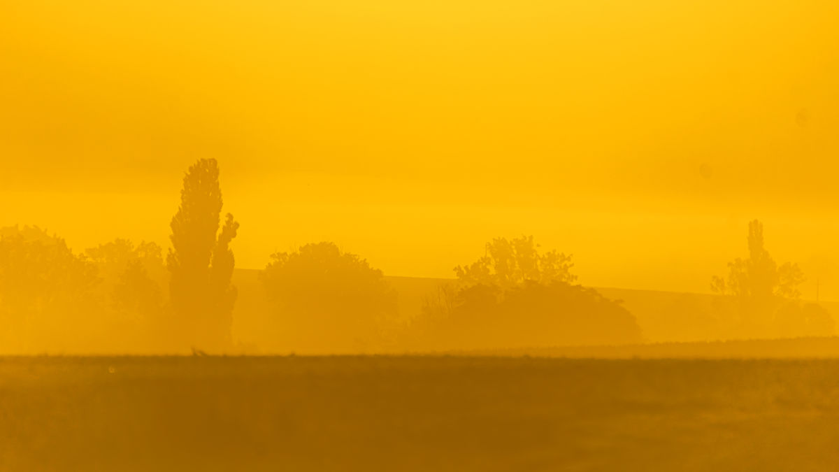 Gaál Zoltán Péter