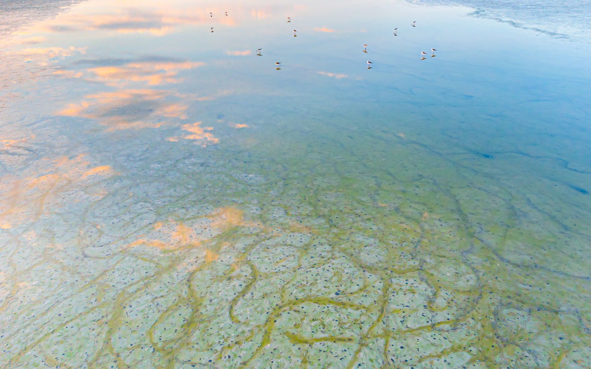 Benke Péter Valentin