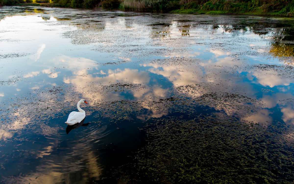 Benke Péter Valentin