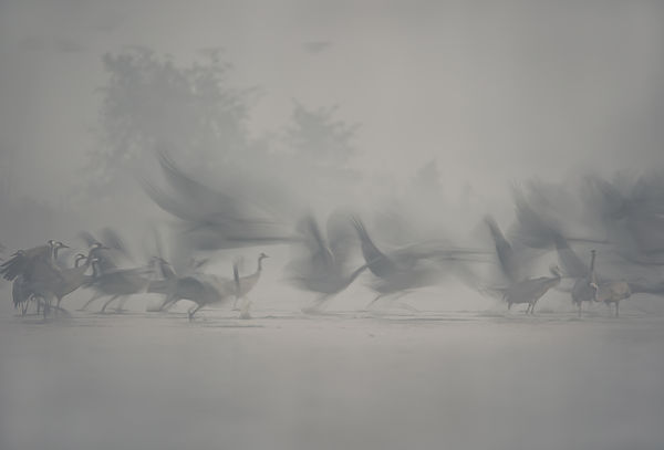 Élet a köd mögött