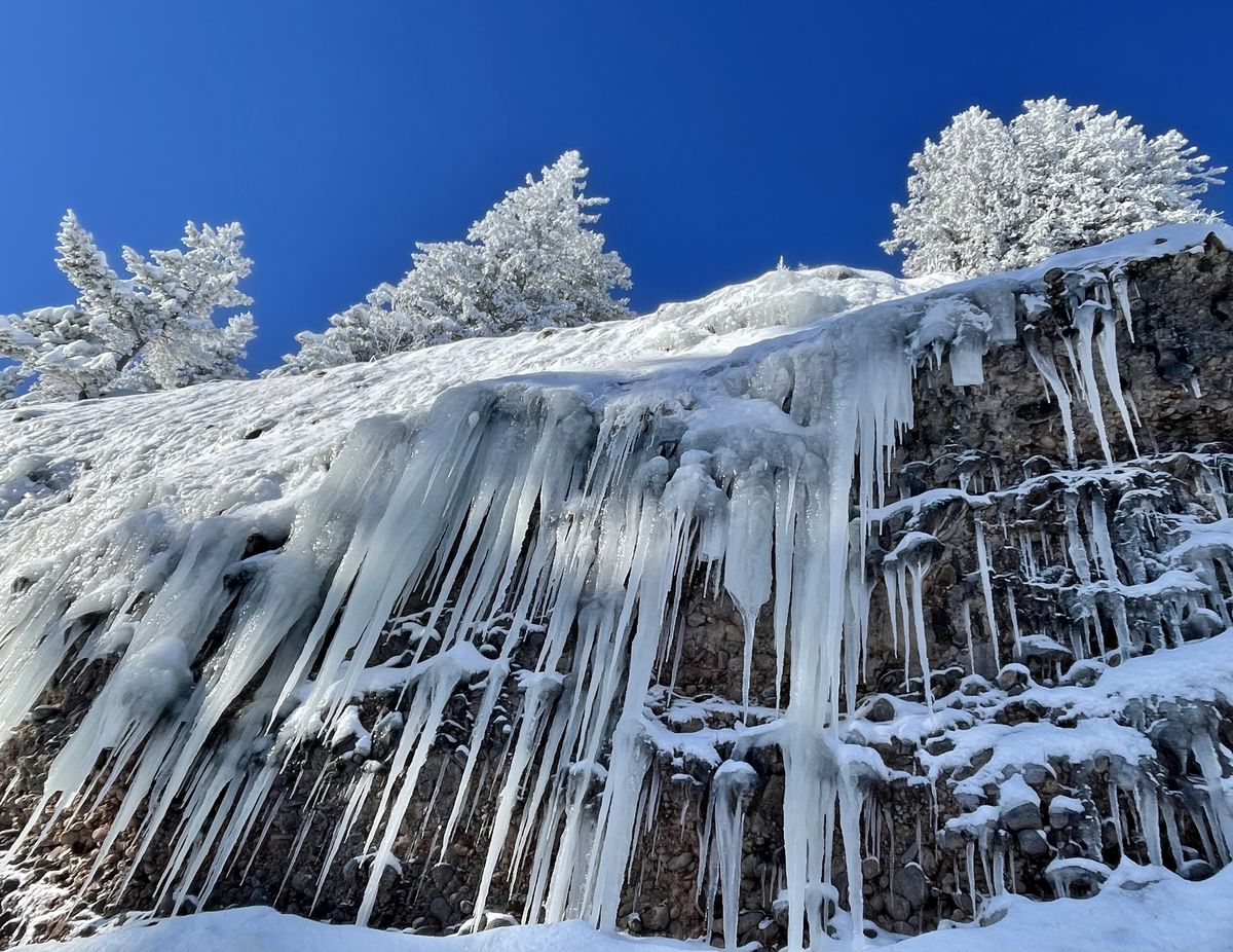Presztolánszky Ágnes