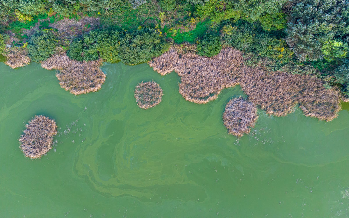 Benke Péter Valentin