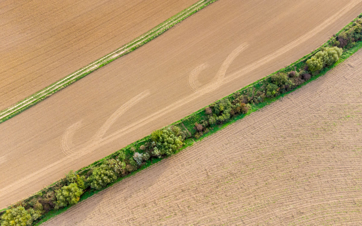 Benke Péter Valentin