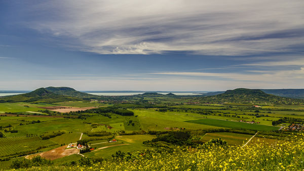 Tavasz