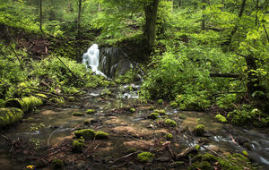 A Szalajka-völgy eldugott része A Szalajka-völgy eldugott része