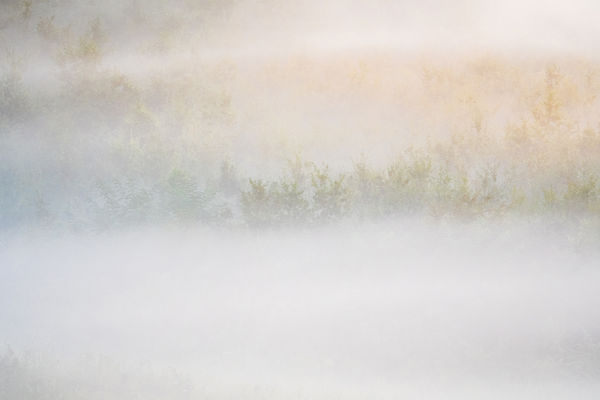 Hasad az őszi hajnal