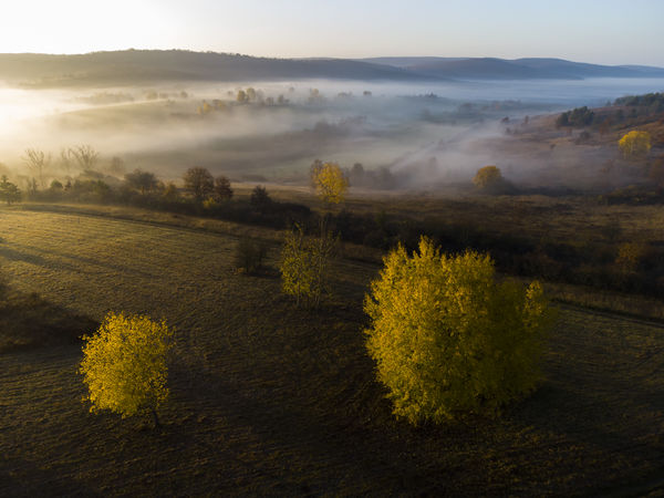 November közepén