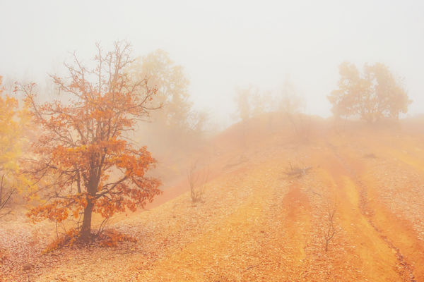 Ködös "marsi" tájkép