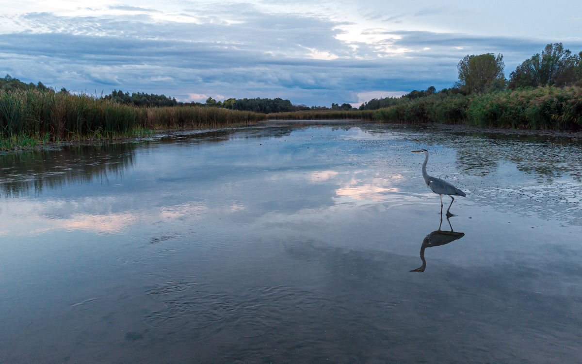 Benke Péter Valentin