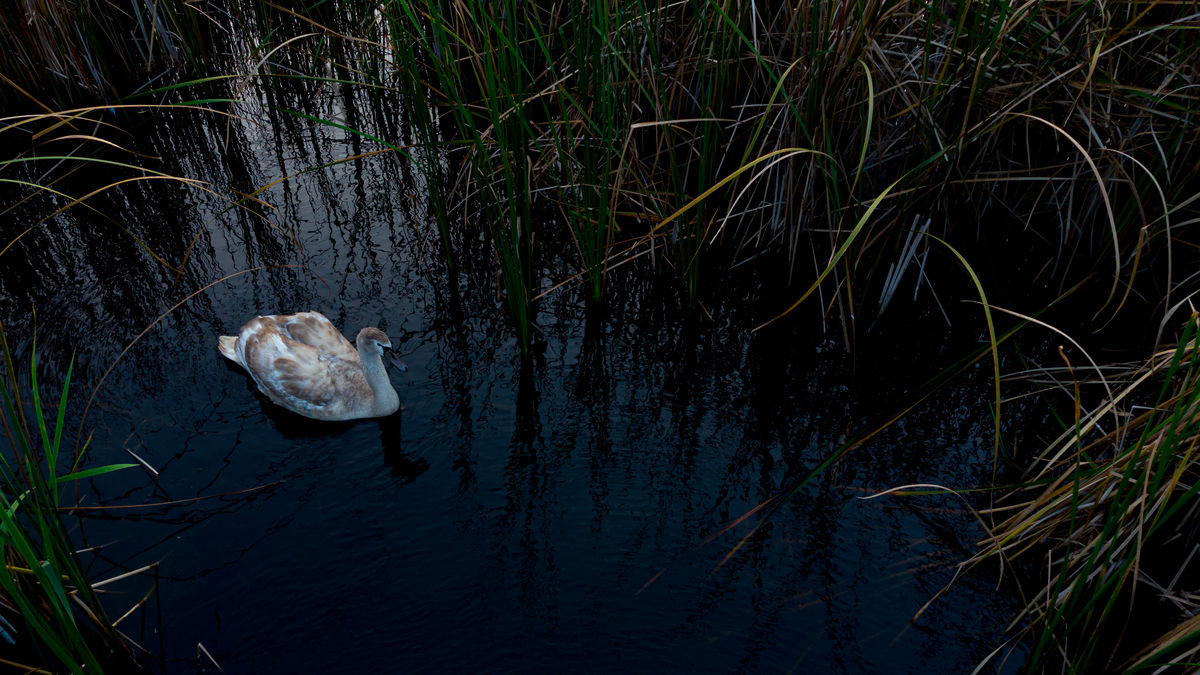 Benke Péter Valentin