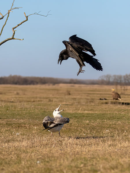 Sötétség és világosság harca