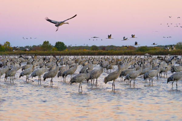 Indulás előtti hangulatban