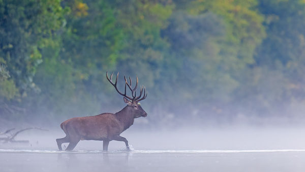 Egy párás reggelen