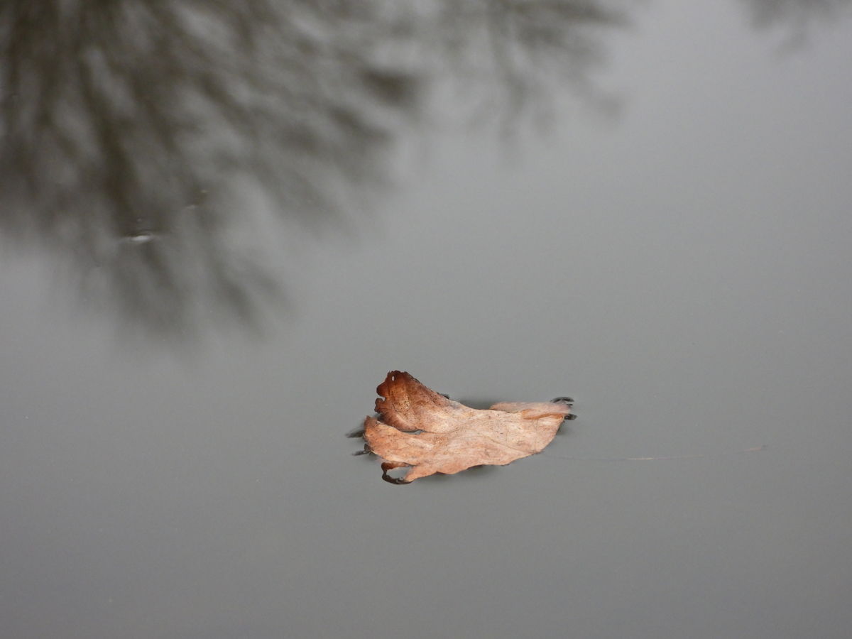 Kónya Máté Bertalan