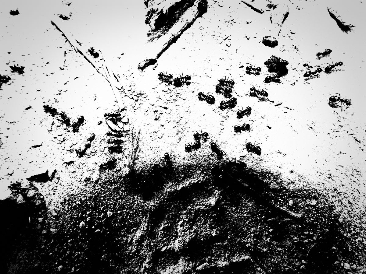 Kónya Máté Bertalan