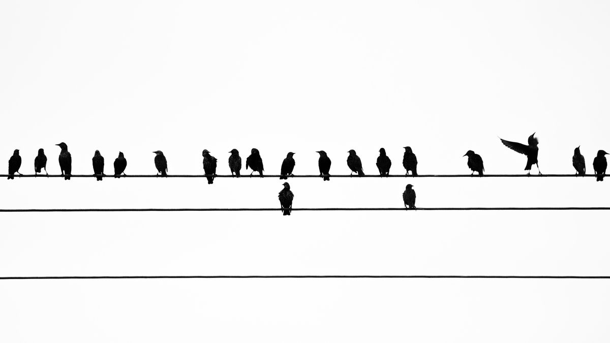 Gémné Kovács Anita