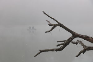 Barátság Barátság