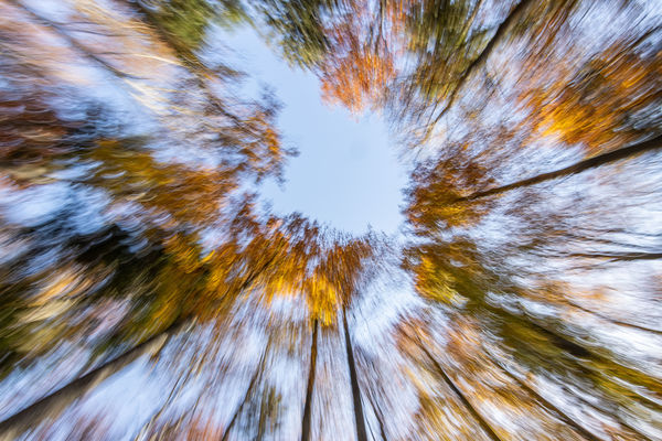 Az ősz impressziója