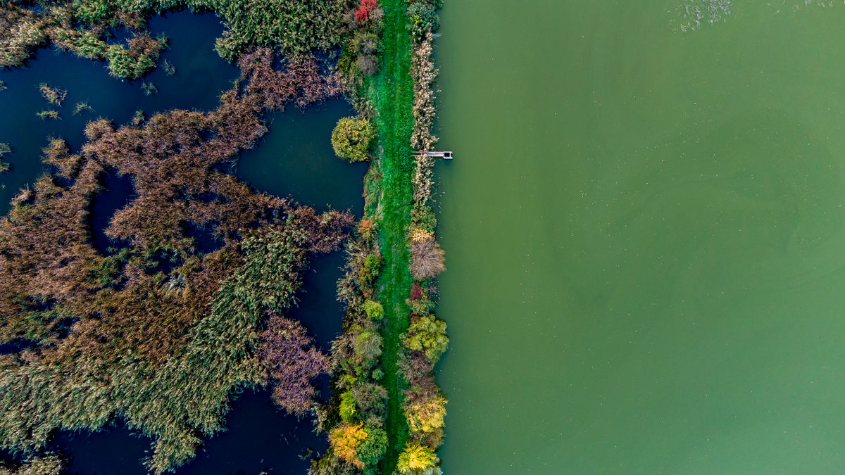 Benke Péter Valentin