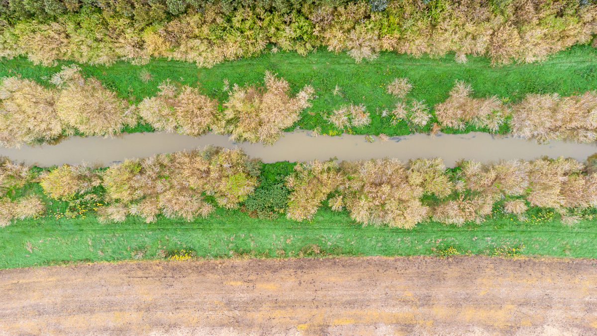 Benke Péter Valentin