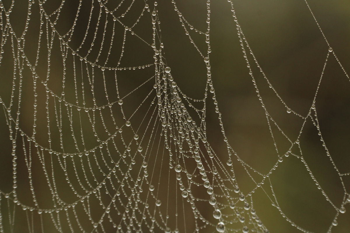 Seres Ádám Zoltán