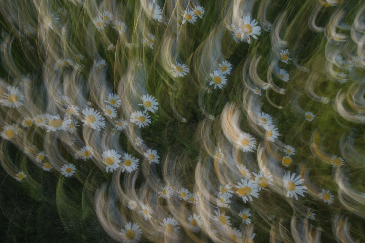 Darányiné Bakos Éva