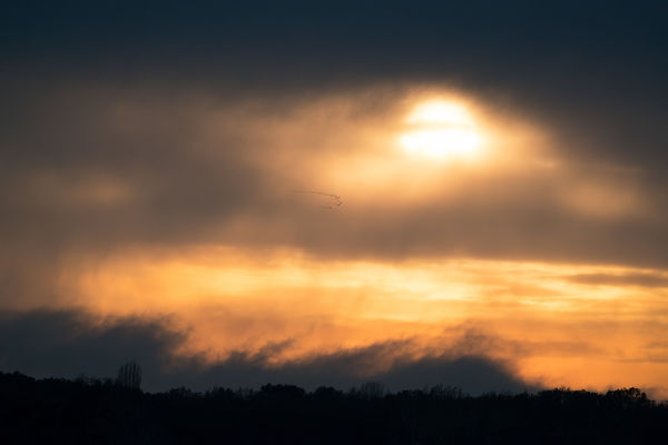 a naplemente vándorai