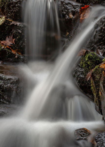 Vizes kereszteződés