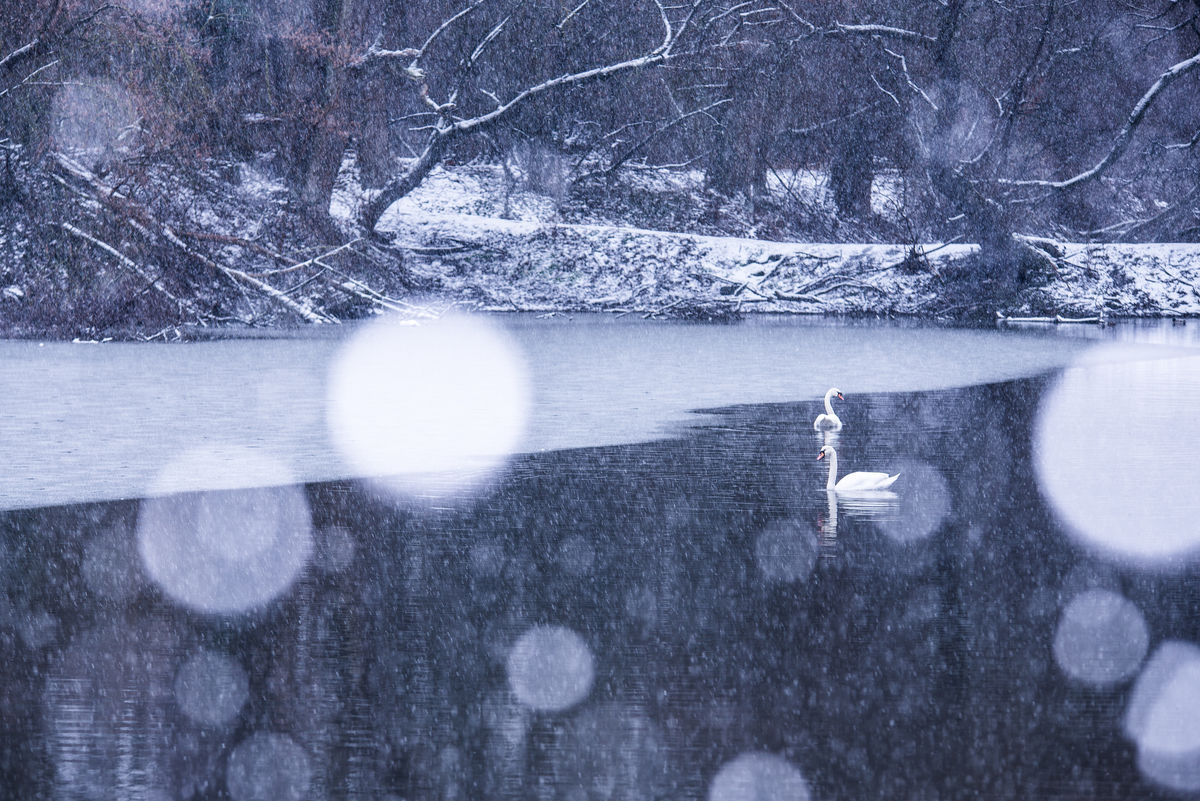 Darányiné Bakos Éva