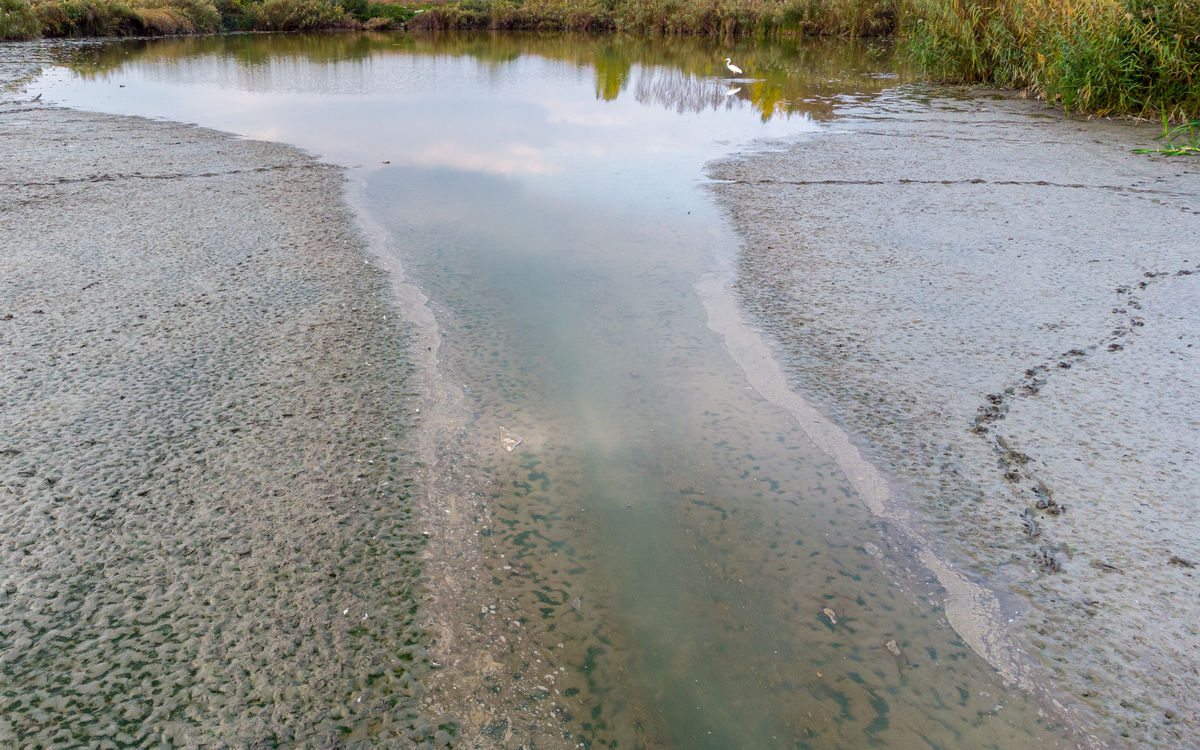 Benke Péter Valentin