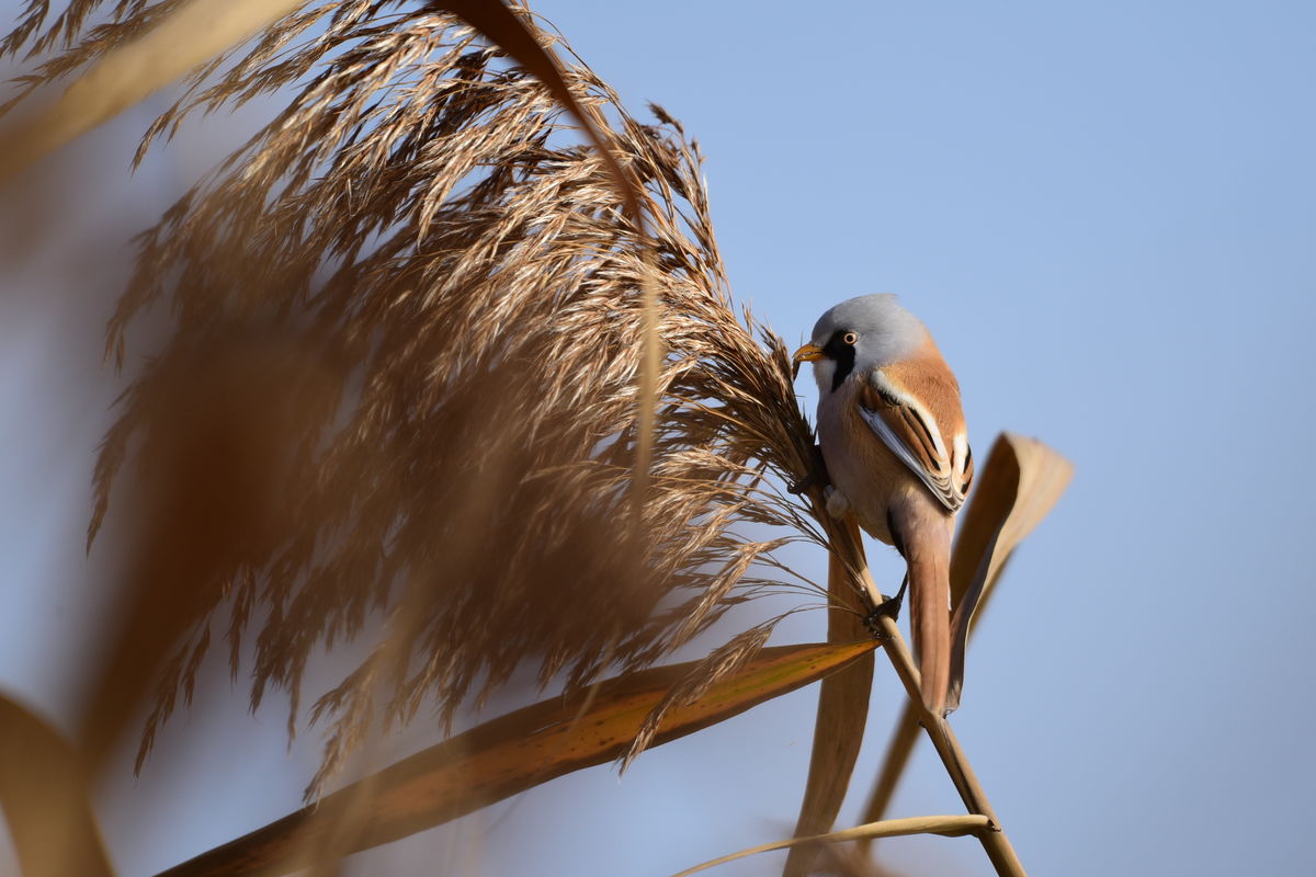 Dr. Rátkainé Kádár Andrea