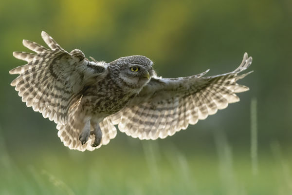 Fel a csúcsra és tovább!