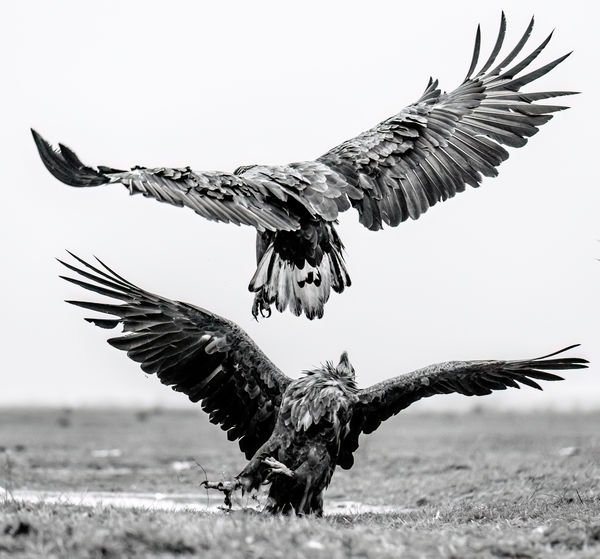 Nehogy már hanyatt essek tőled!