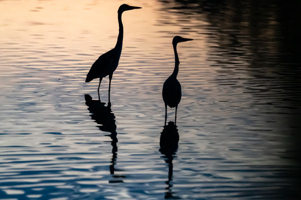 Te is azt látod amit én