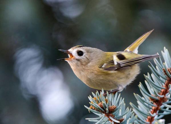 Ahogy a torkomon kifér.