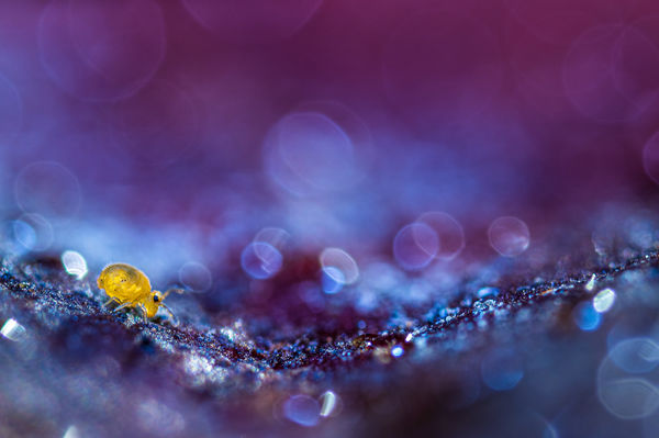 Egyszer lent, máskor fent