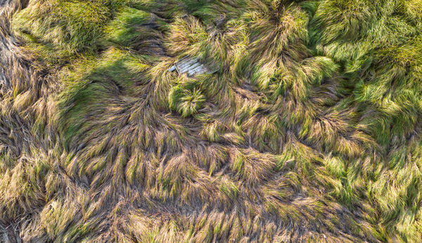 Betakar a természet