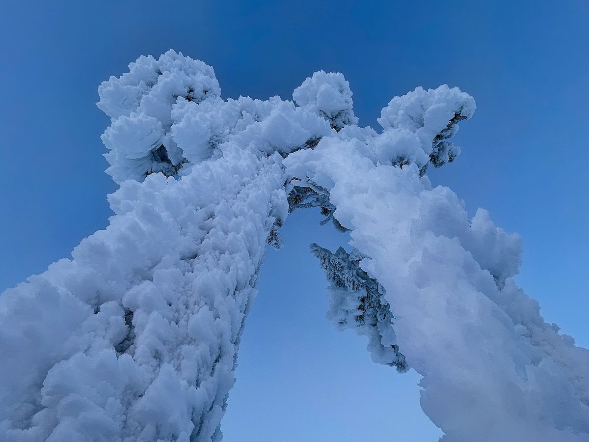 Presztolánszky Ágnes