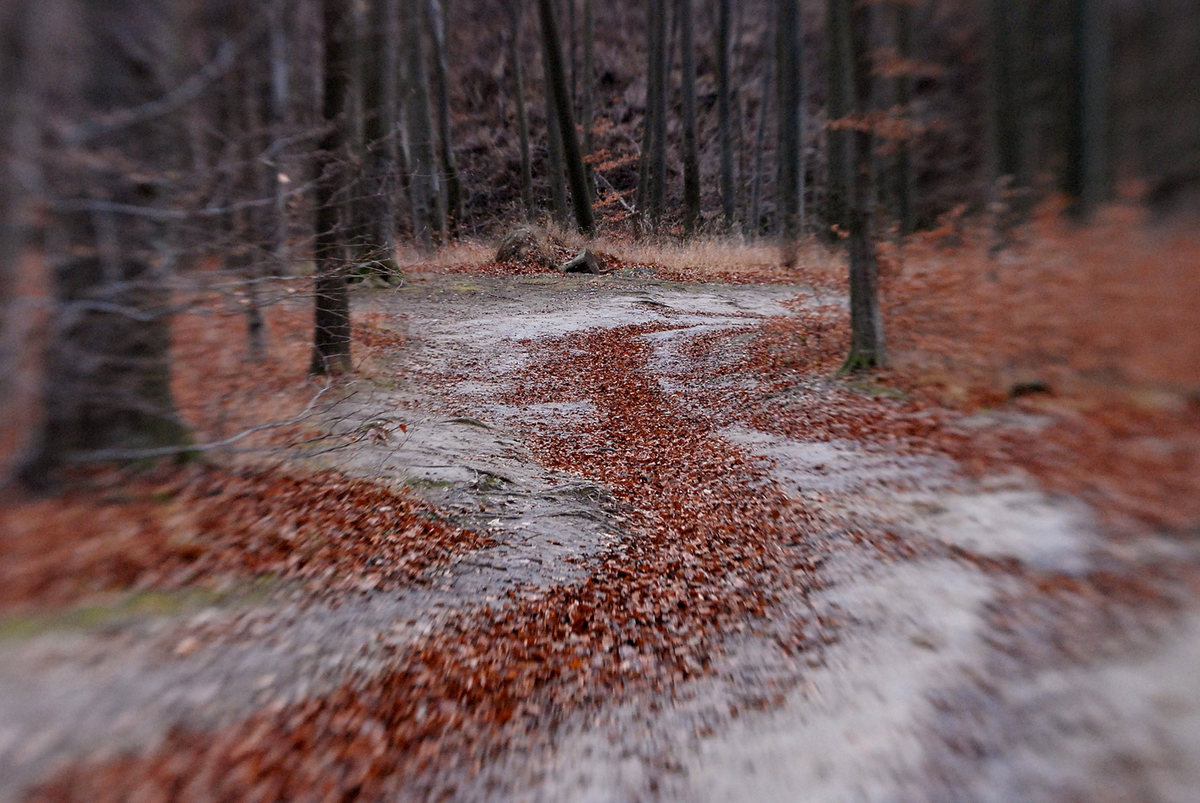 Gaál Zoltán Péter