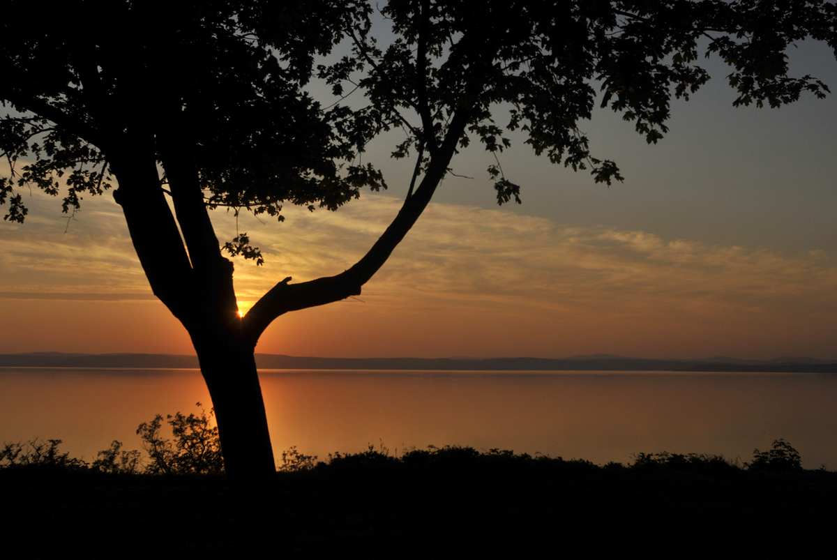 Gaál Zoltán Péter