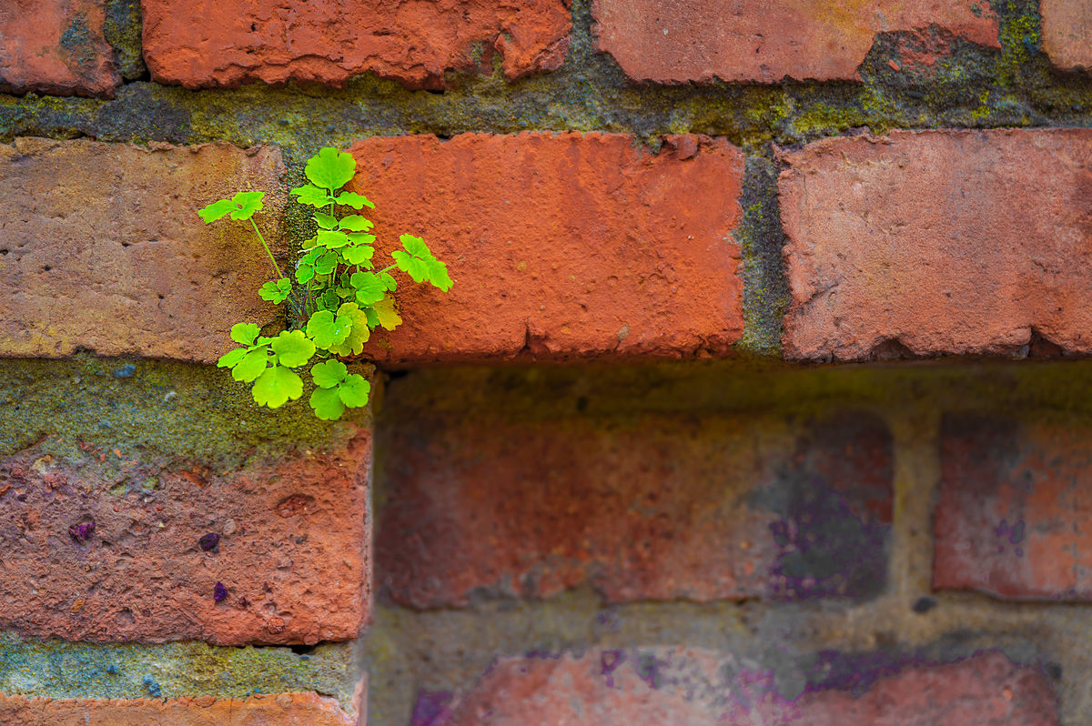 Gaál Zoltán Péter