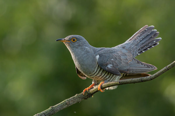 Indulásra készen...