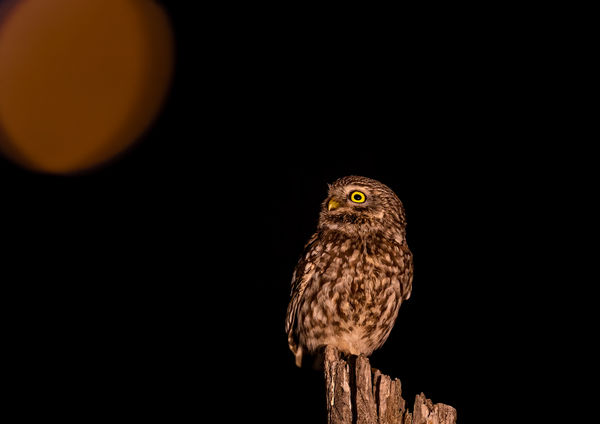 Fény a sötétségben