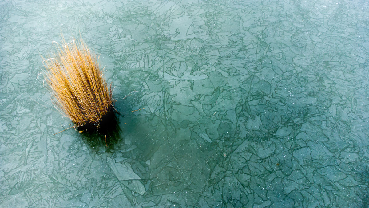 Benke Péter Valentin