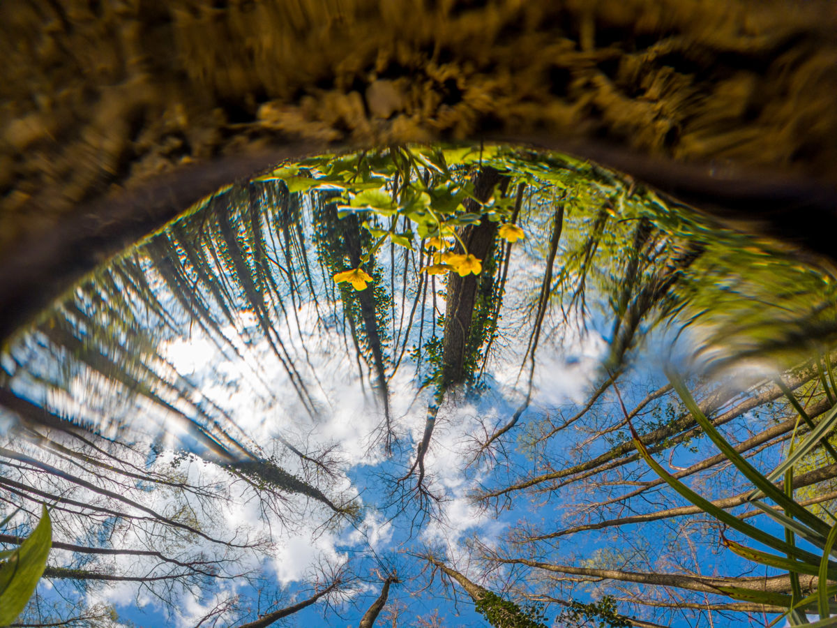 Benke Péter Valentin