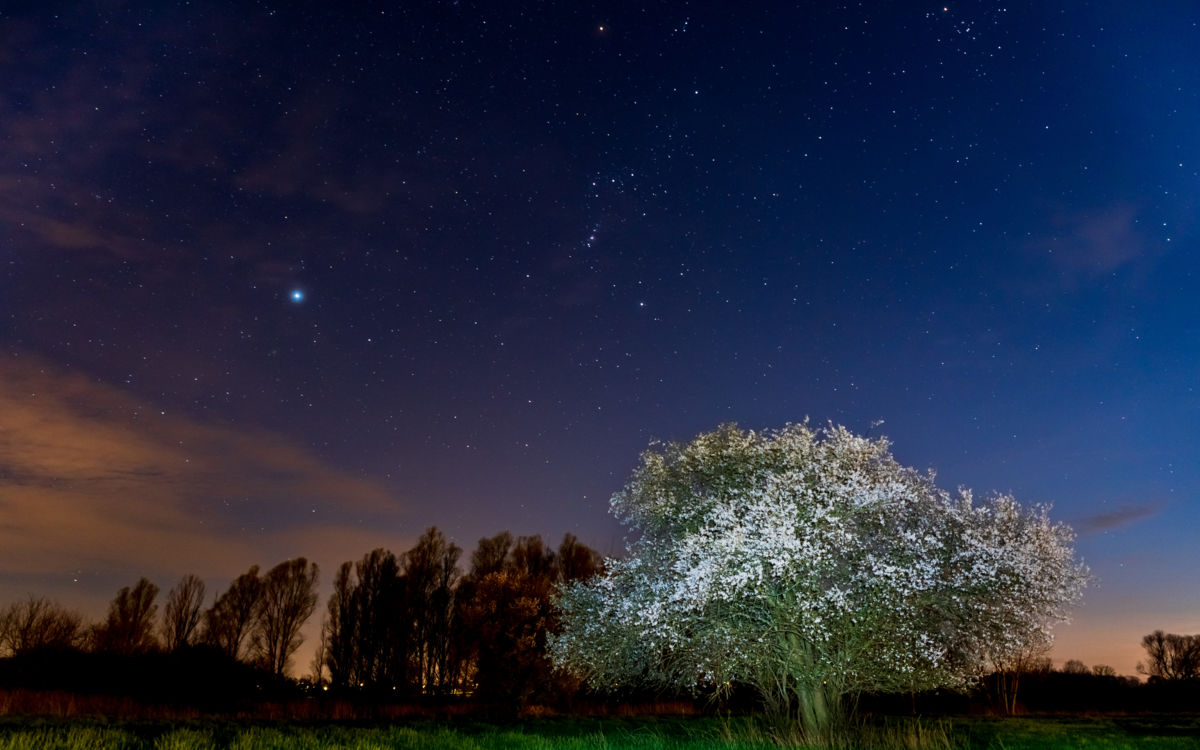 Benke Péter Valentin