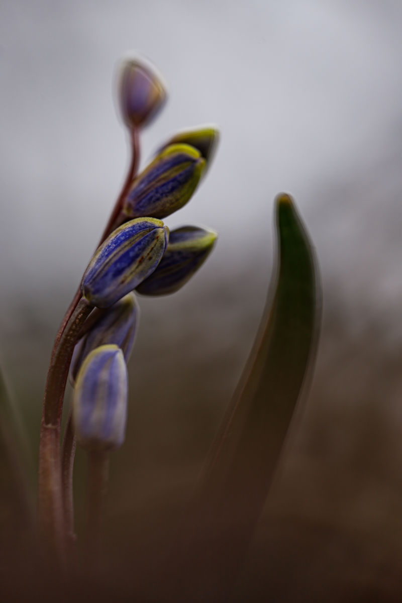 Gyenti-Kálvin Kinga