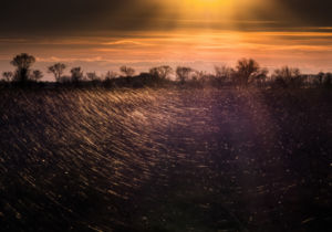 Alkony a pusztán Alkony a pusztán