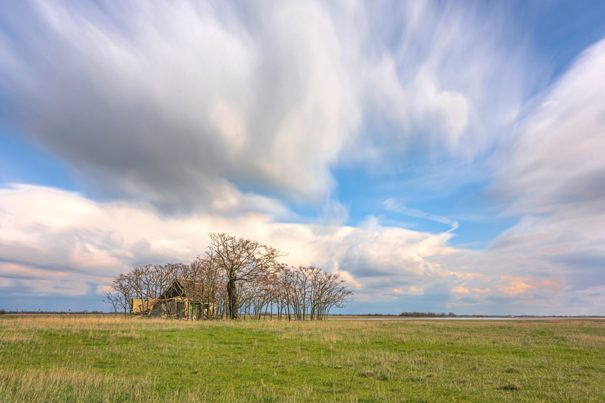 Gaál Zoltán Péter