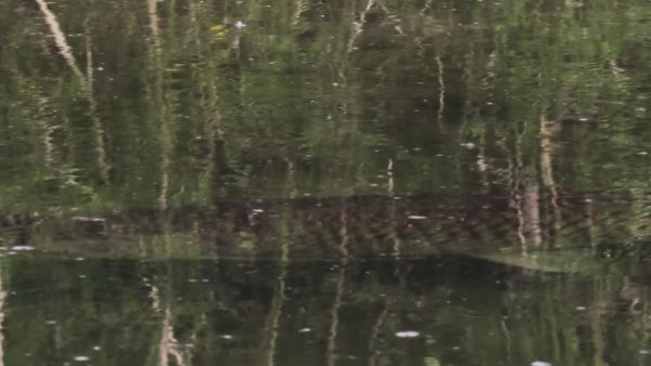 Az élet körforgása